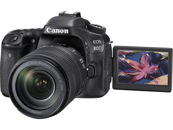 Canon EOS 80D    