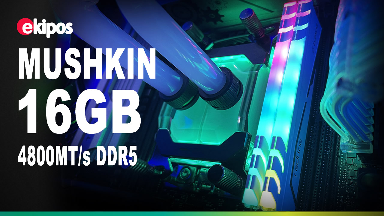 Mushkin DDR5 UDIMM PC5-4800  16GB 4800Mhz   