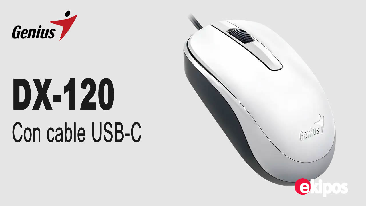 Genius  DX-120 USB C 